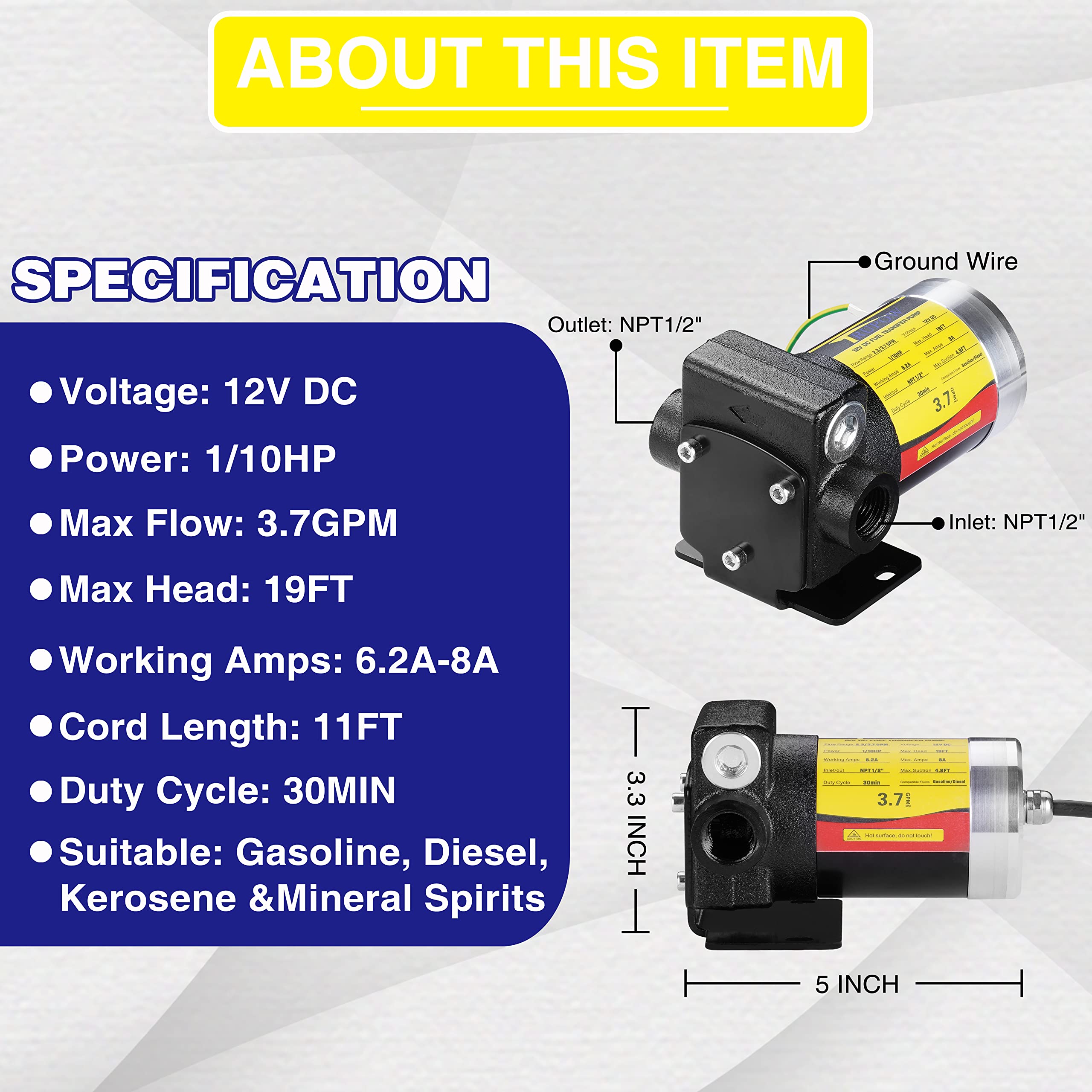 TRUPOW 12V DC Gasoline Fuel Transfer Pump - Reversible, Cast Iron, Model TP0315, for Diesel & Kerosene