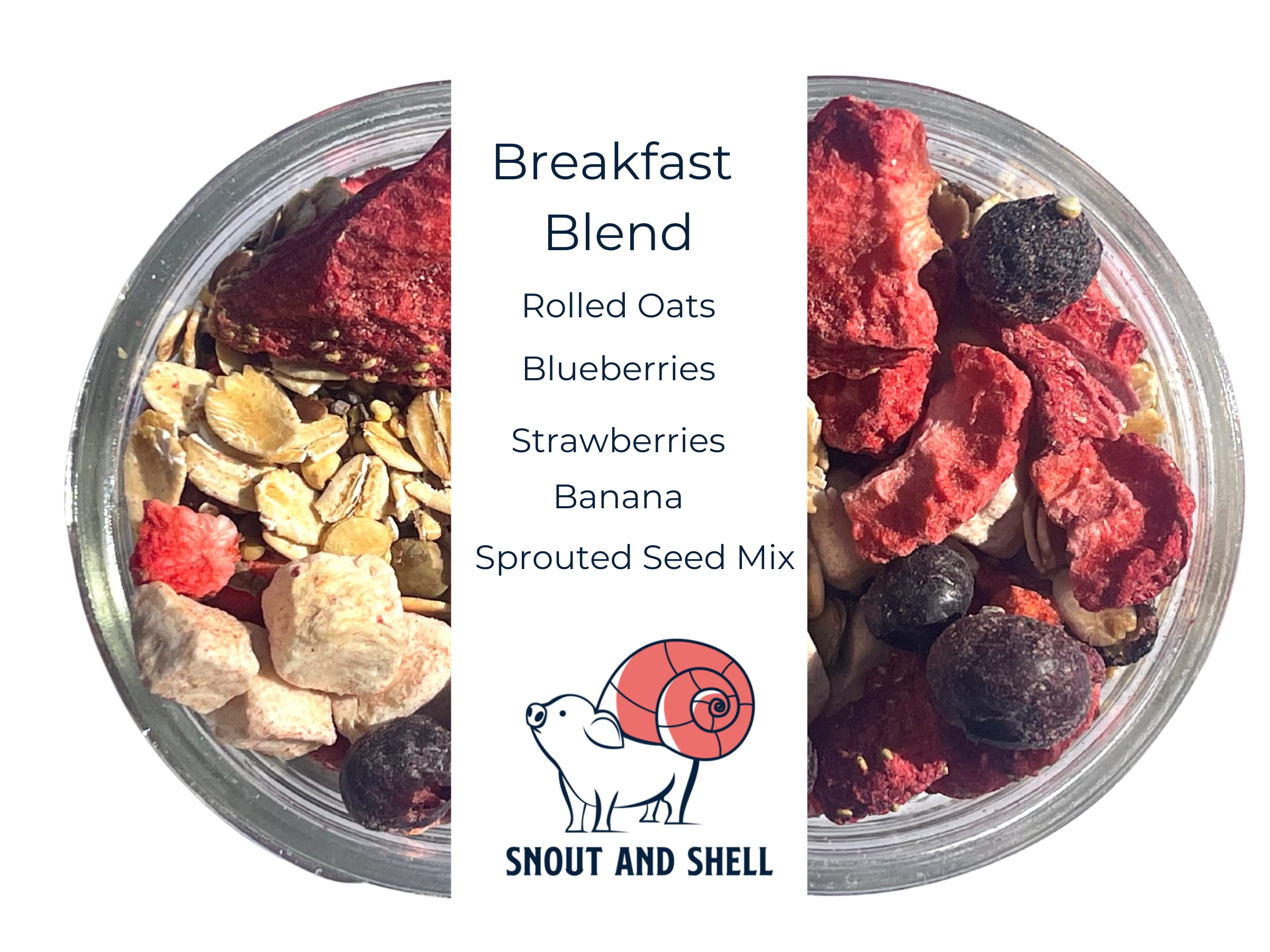Snout And Shell Berry Hibiscus Hermit Crab Dry Food - High Protein  Nutrient Blend Diet Of Rolled Oats, Blueberries, Strawberry,