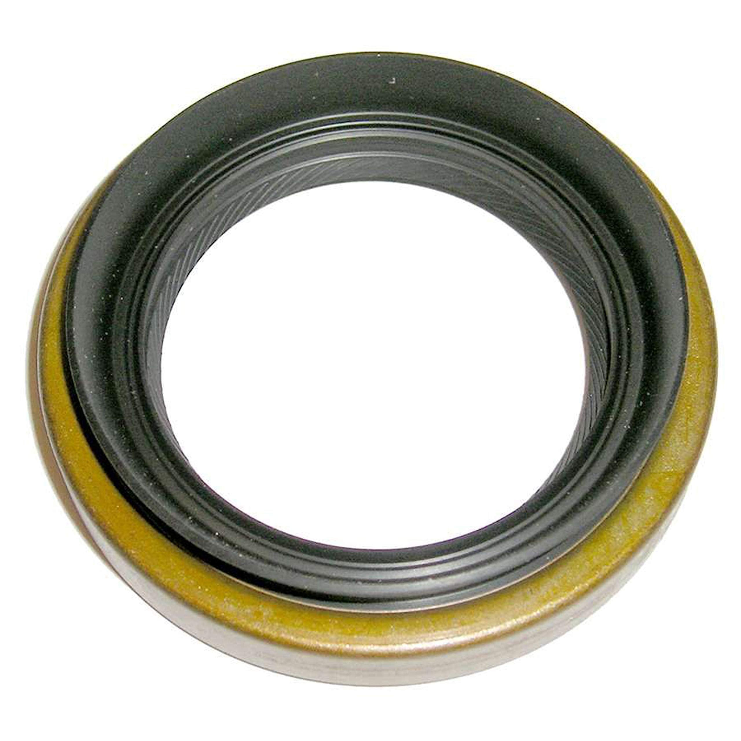 Skf Seal (18491)
