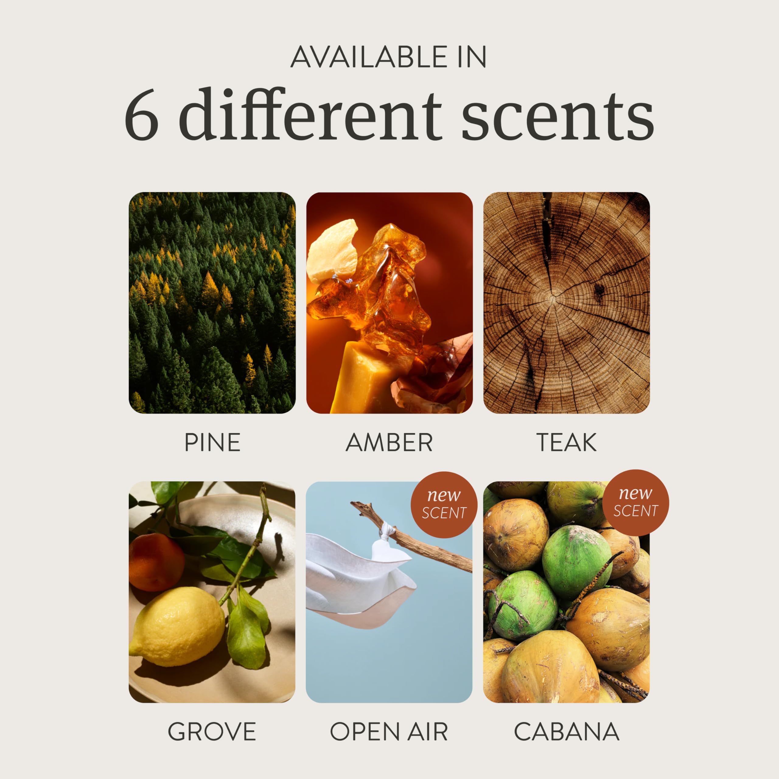 Drift Car Air Freshener - Cabana Scent - 3.39 oz - Long Lasting - Essential Oils - Brown - Model WD-CAB-SK-AMZ