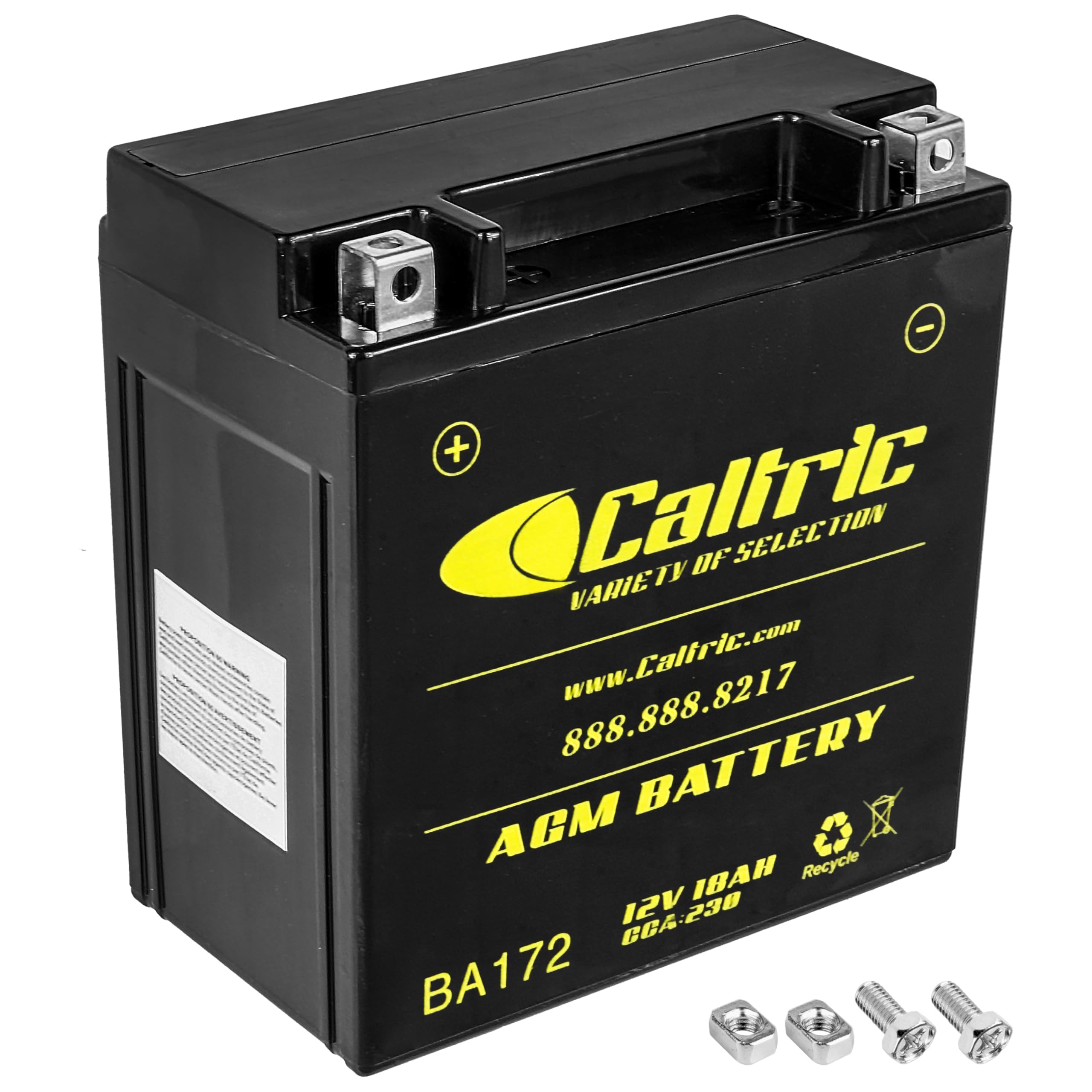 Caltric Agm Battery Compatible with Polaris 4012638, 4013045