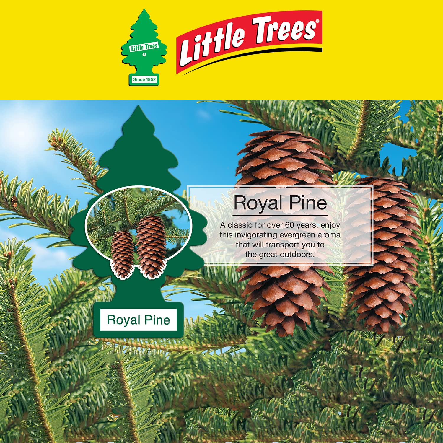 Little Trees Car Air Freshener, Royal Pine 1 Ea