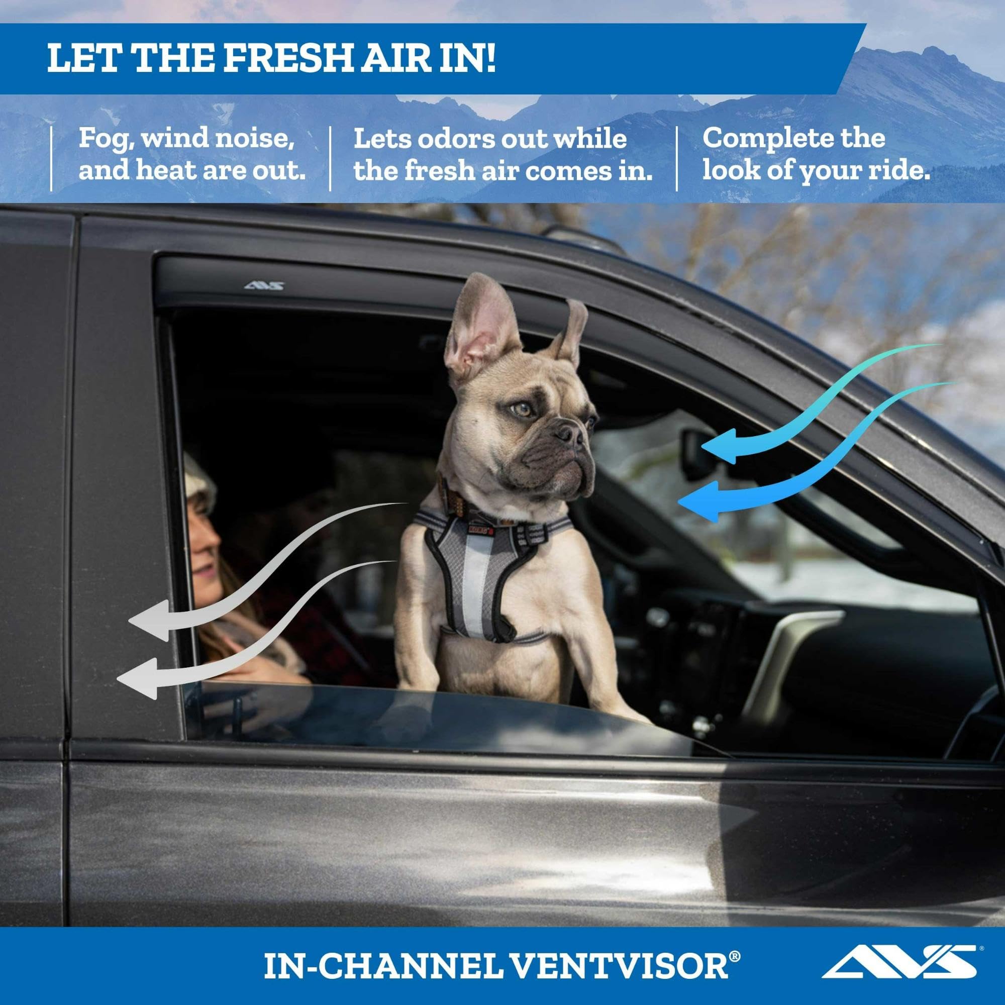 Auto Ventshade [Avs] In-Channel Rain Guards For 2003 - 2011 Honda Element | Window Vent Visors, 2 Pcs. - Smoke | 192725
