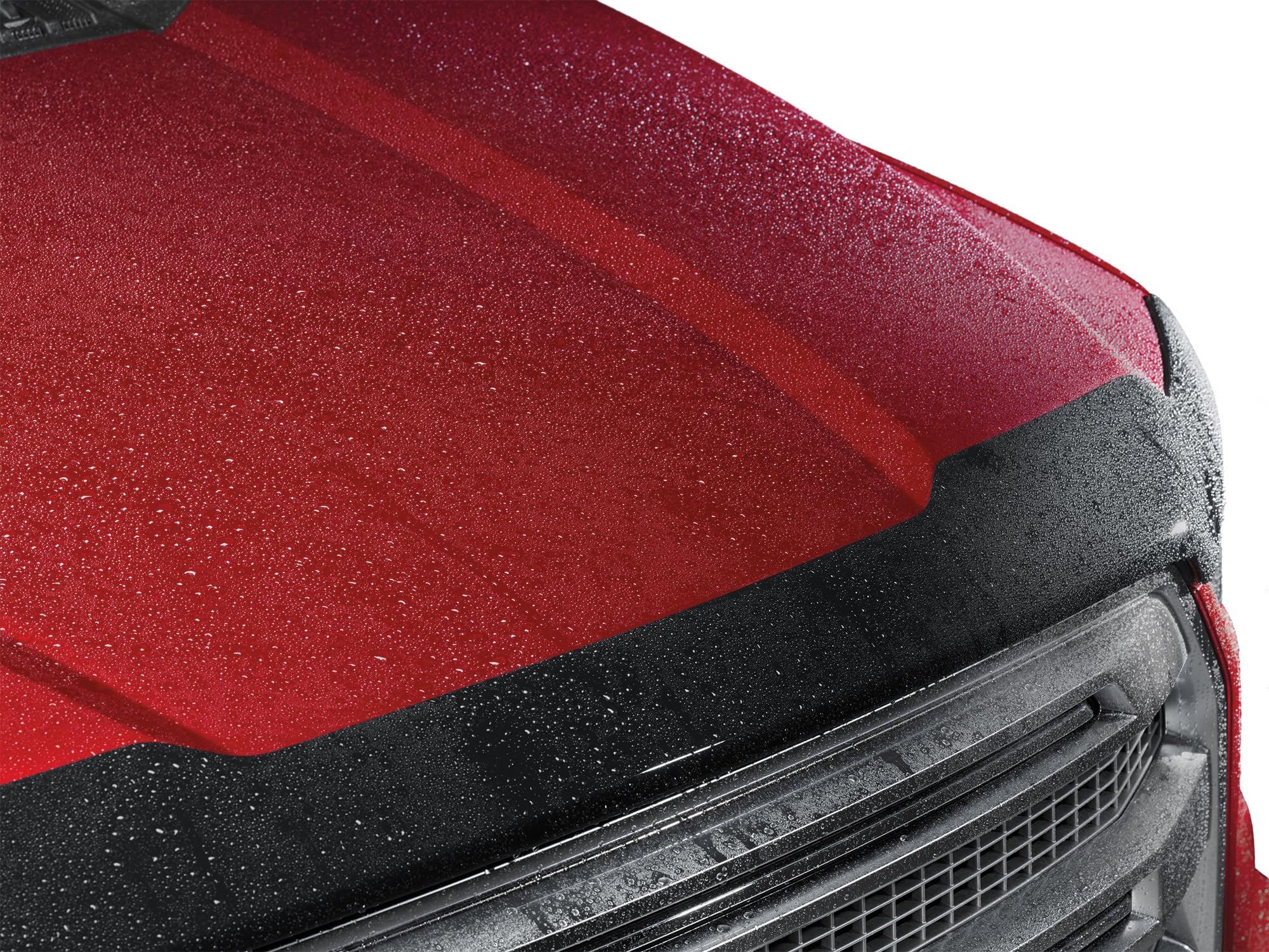 WeatherTech Hood Protector Low-Profile Hood Shield for Ford F-150 (55001)
