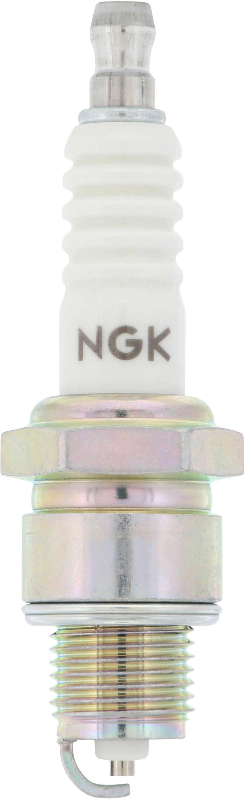 Import Plugs 4/Bx
