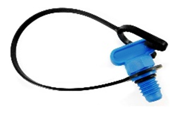 Plug  Drain
