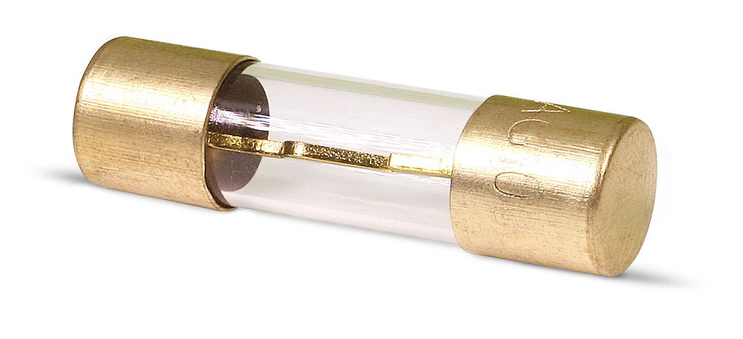 100 Amp Agu Fuse