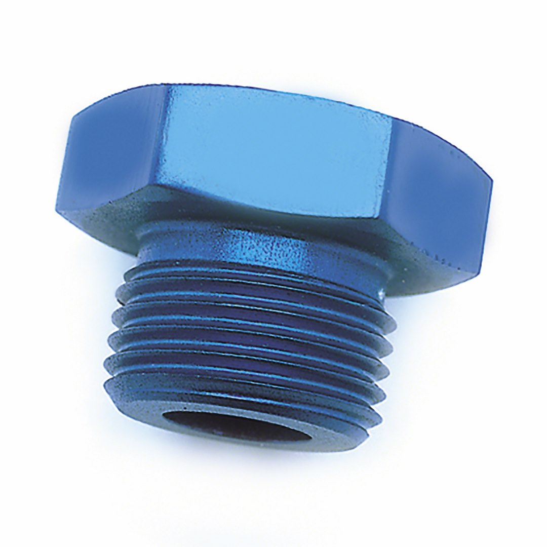 -12An Blu St Thrd(O-Ring) Plg
