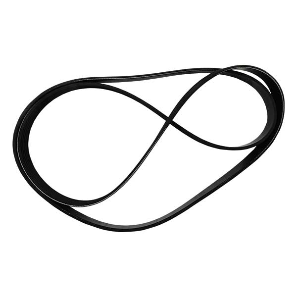 Serpentine Belt