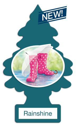 Little Trees Car Air Freshener Rainshine 24 Pack Rain Shine Fresheners