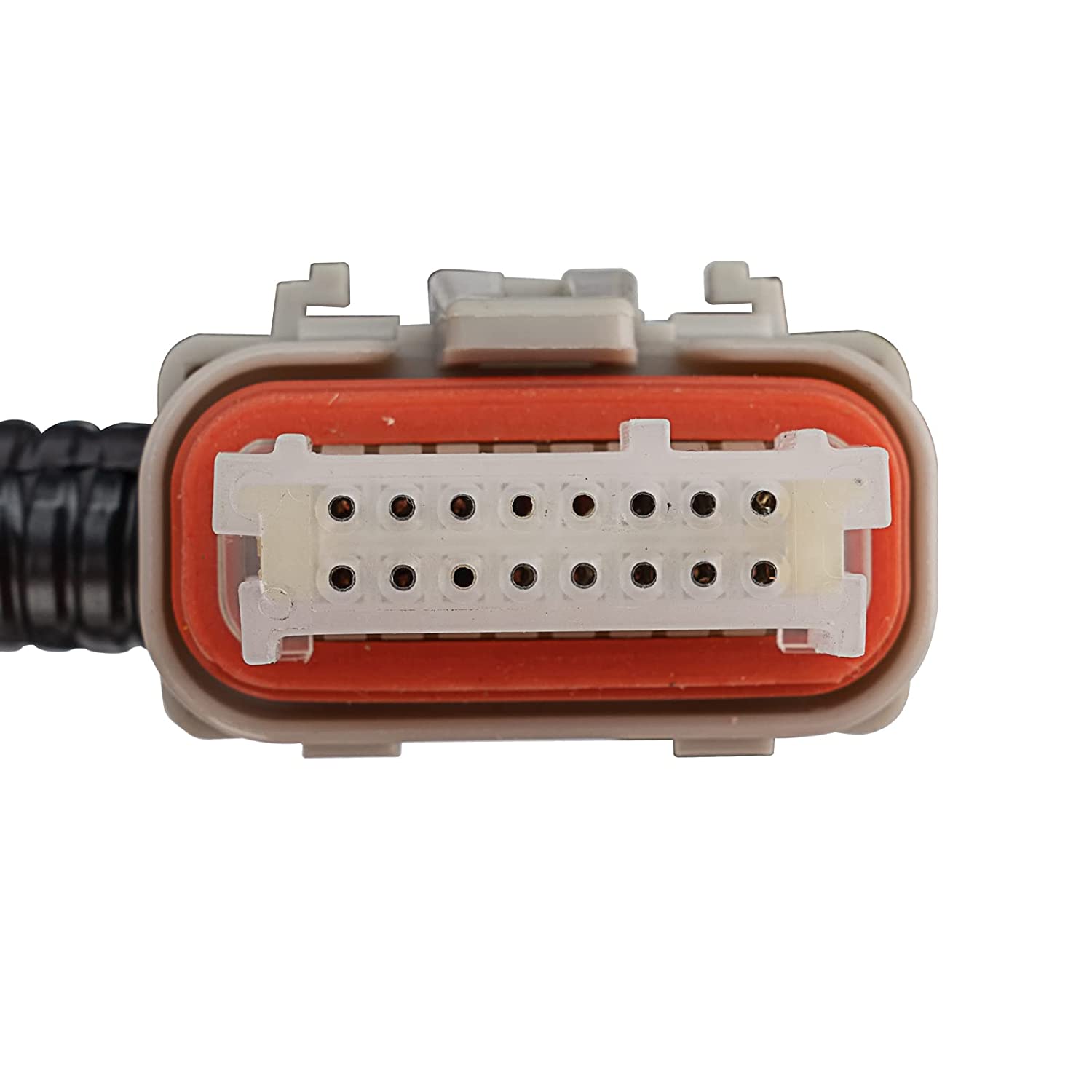 LS Swap Standalone Wiring Harness 97-04 LS1 Drive-By-Wire DBW 4L60E Trans US